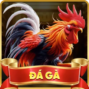 Bảo Mật Tối Ưu lucky 8 nhà cái